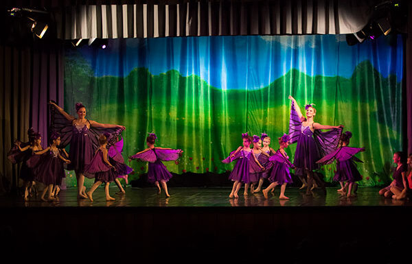 ILAYA-01-Schmetterlinge