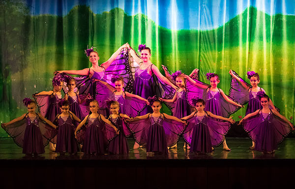 ILAYA-02-Schmetterlinge