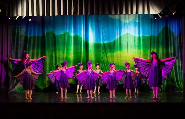 ILAYA-04-Schmetterlinge