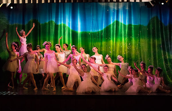 ILAYA-10-Pusteblumen